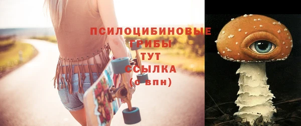 прущий лед Дмитриев