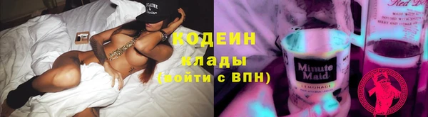 прущий лед Дмитриев