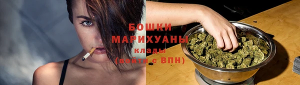 прущий лед Дмитриев