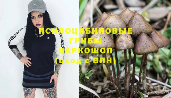 jwh Дмитров