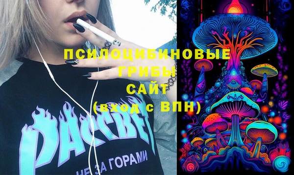 прущий лед Дмитриев