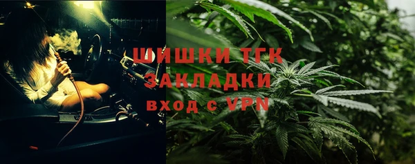 прущий лед Дмитриев