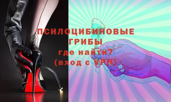 apvp Дмитровск