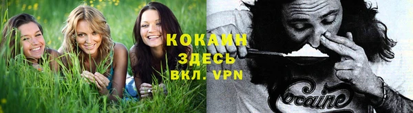 apvp Дмитровск