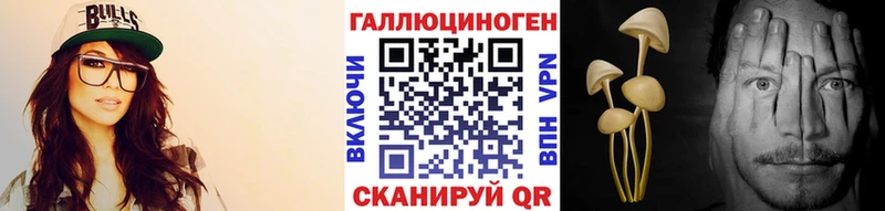 Купить где  Камень-на-Оби  Галлюциногенные грибы прущие грибы 